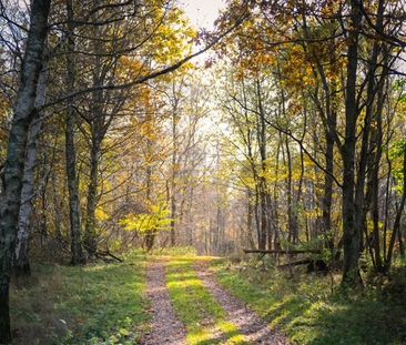 Heckebergavägen, Genarp - Photo 5