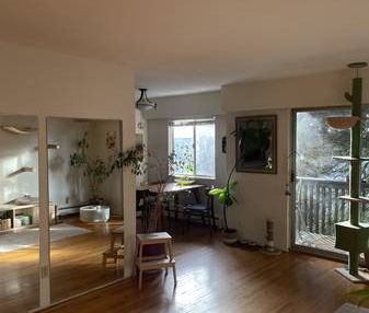 Short Term- Room available in Specious and bright apartment - Photo 3