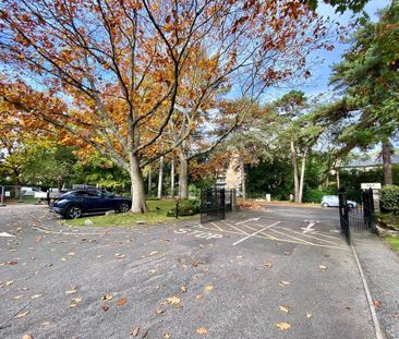 East Cliff Crag Head 77 Manor Road, BH1, Bournemouth - Photo 6