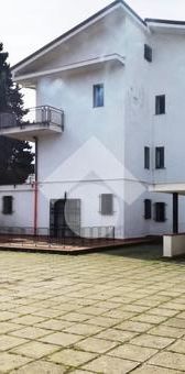 Bilocale in affitto - Photo 1