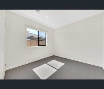 31 Ficus Circut, Wallan, Vic 3756 - Photo 6