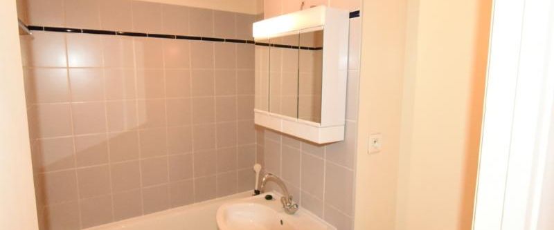 Location Appartement 1 pièce 26m² MACON 71000 - Photo 1