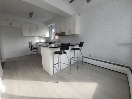 842 Rue Prieur Est - Photo 5