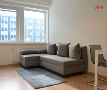 Apartment for rent, 1+KK - Studio, 28m - Fotografie 4