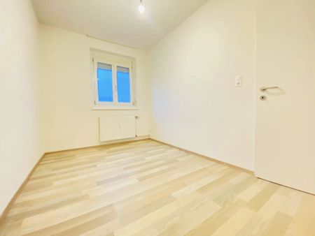 Großzügige 2-Zimmer-Wohnung-Traisenpark-Nähe - Foto 3