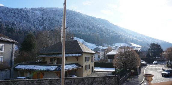 Location Appartement 1 pièce 23m² THONES 74230 - Photo 2