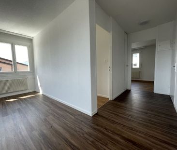 3 Zimmer, 55 m², 2. Stock - Foto 6