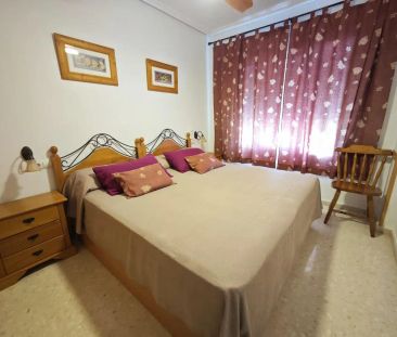Elche / Elx - Photo 4