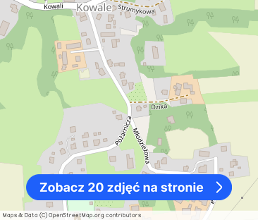 Dom wolnostojący - Kowale - Zdjęcie 1