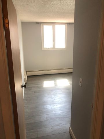 New counters, floor, paint, renovated like new 1 bdrm apartment in downtown! - Photo 5