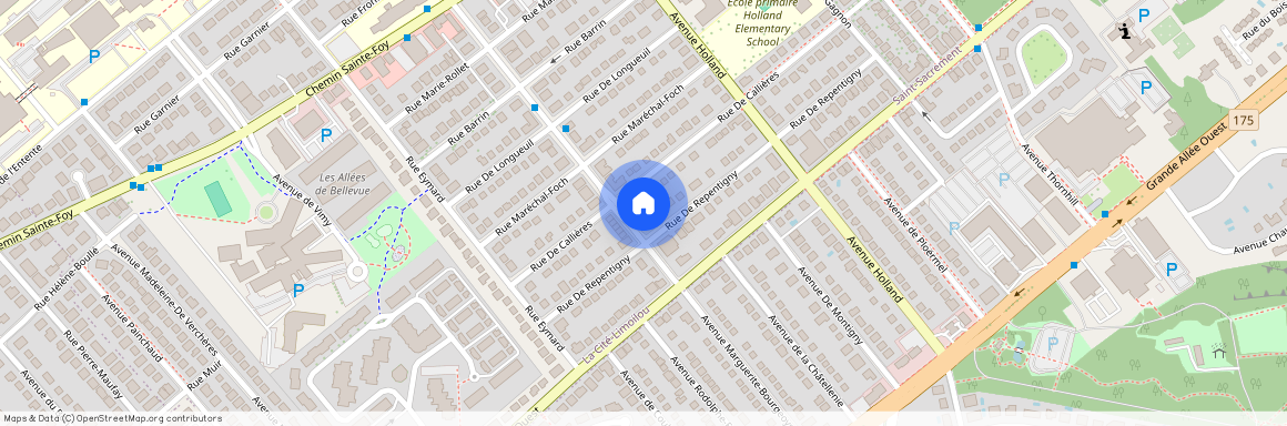 5 1/2-955, avenue Marguerite-Bourgeoys, Saint-Sacrement