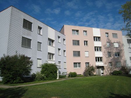 Schöne 4.5-Zimmerwohnung in Effretikon zu vermieten - Photo 4