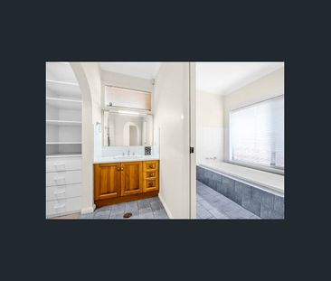 The Size Will Surprise!! - Photo 4