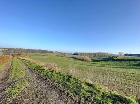 Huis te huur - Photo 5