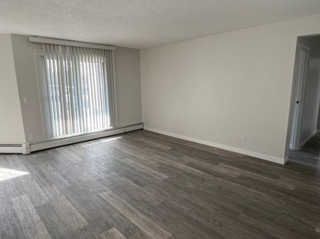 FULLY RENOVATED TWO BEDROOM ~ SMALL PET FRIENDLY! - Photo 3