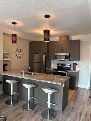 For Lease - 118 KING Street Unit# 419, Hamilton, Ontario - Photo 5