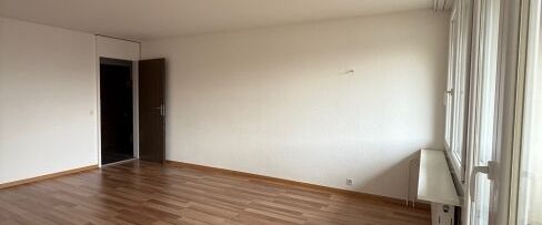 Living with a view of Lake Zurich - Photo 1