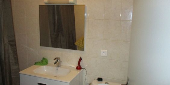 Location Appartement 1 pièce 31m² ROANNE 42300 - Photo 3