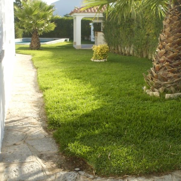 Moradia T3 em Lisboa - Photo 1