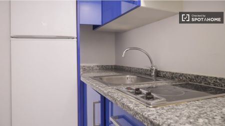 madrid, Community of Madrid 28005 - Photo 5