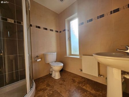 Gosheen, Curraduff, Camp, Tralee, Co. Kerry - Photo 4