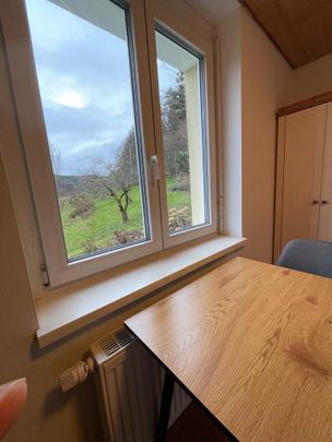 Möbl. Wohnung (2 ZW) mit Balkon in Lahr-Reichenbach (befristet) - Photo 1