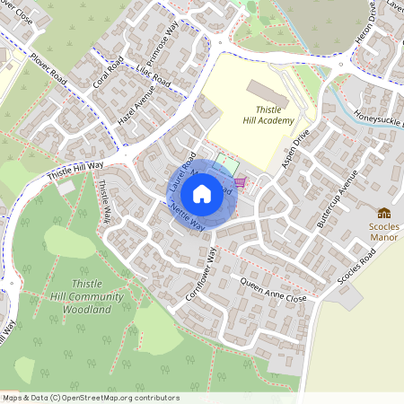 Camellia Road, Sheerness