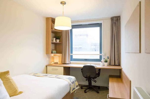 Silver En-Suite - Standard View | Lower Level - Photo 1