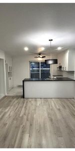Logement 4 1/2 • Luxueux Neuf • demi-sous sol • Sainte Anne des Plaines - Photo 4
