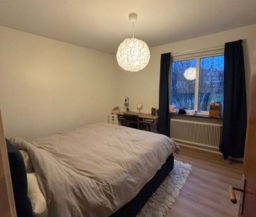 Ankargatan, Halmstad - Foto 6