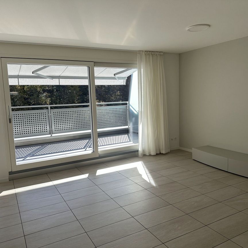 SAVOSA attico 3 locali con terrazza e giardinetto in affitto - Foto 1