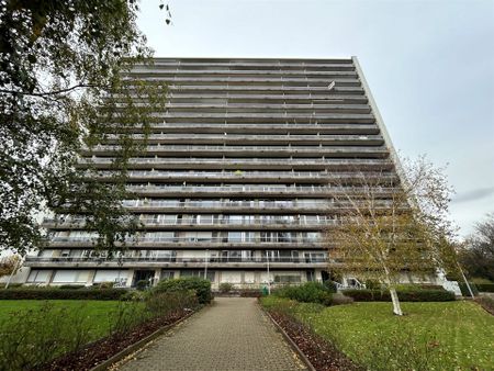 Centraal gelegen 3-slaapkamer appartement met terras te huur op toplocatie in Borgerhout! - Photo 3