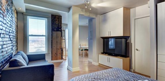 Loft entièrement meublé à louer Saint-Jean-Baptiste janvier 2026 - Photo 2