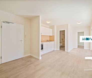 Schickes 2-Zimmer-Apartment in Dresden - Photo 5