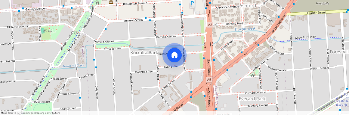 12 Basnett Street, Kurralta Park