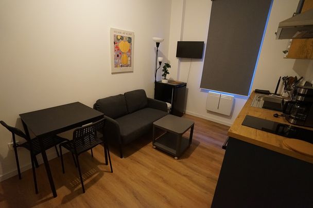 LILLE - APPARTEMENT - T1 BIS MEUBLE - Photo 1