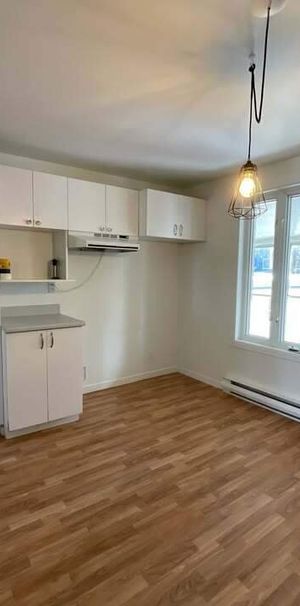 3 CH - 1 SDB - L'Ancienne-Lorette - $1,350 /mo - Photo 1