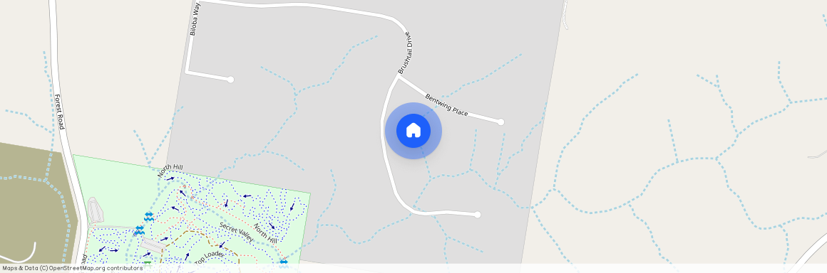 17 Brushtail Drive, NSW 2340, Tamworth