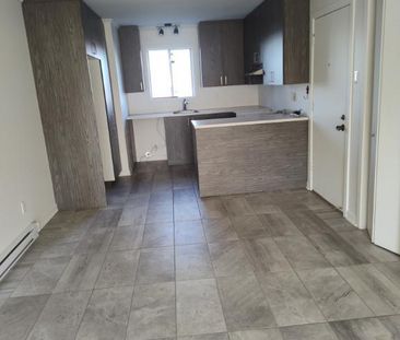 Grand 4 1/2 rénové avec aire ouverte à Ste-Julie - Photo 4