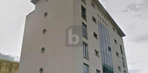 TRANQUILLO E SOLEGGIATO - Photo 2