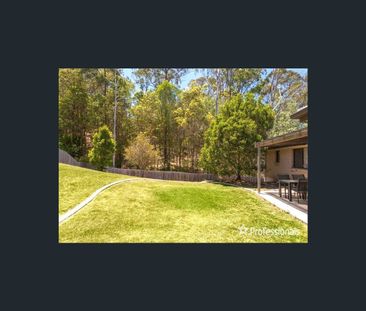 31 Glauca St, Burleigh Heads, Qld 4220 - Photo 4