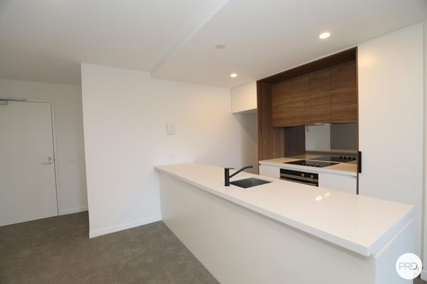 44/217 Northbourne Avenue, Turner ACT 2612 - Apartment For Rent - $510 | Domain - Photo 1