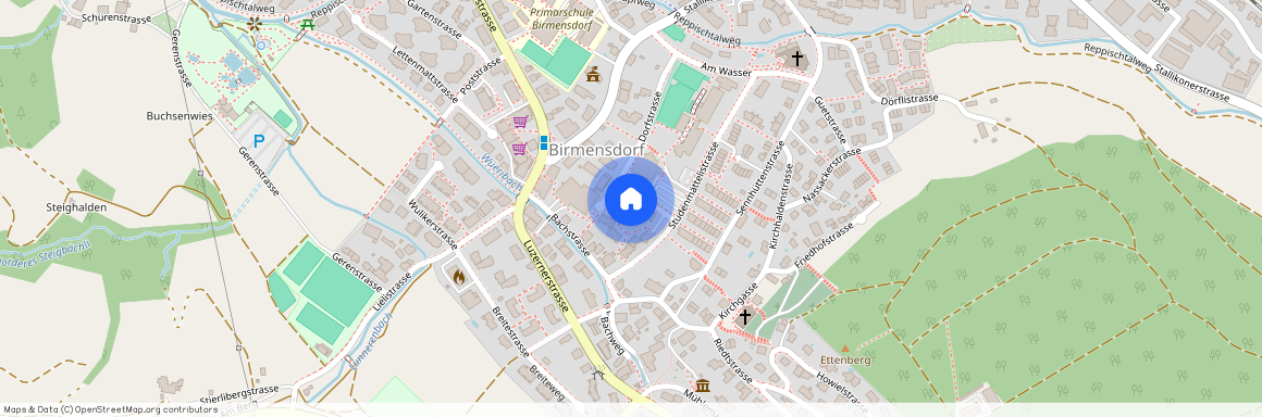 Baumgartenstrasse 8/10, 8903 Birmensdorf ZH