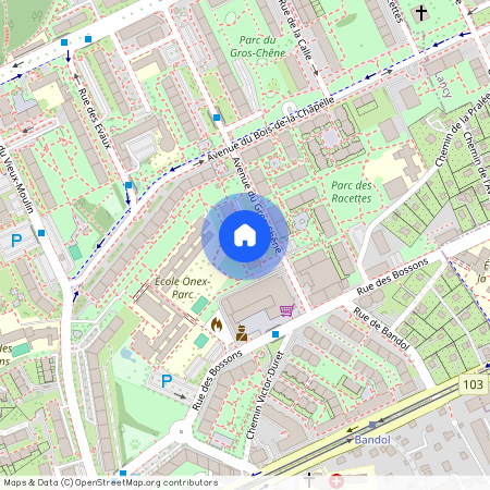 27, avenue du Gros-Chêne, 1213 Onex