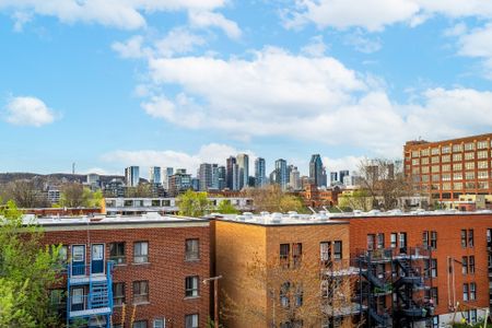 Condo for rent, Montréal (Le Sud-Ouest) - Photo 3