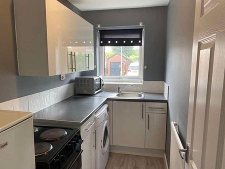 Varley Gardens, Flanderwell, Rotherham, S66 - Photo 4