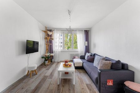 Pronájem bytu 2+1 53 m² - Photo 2