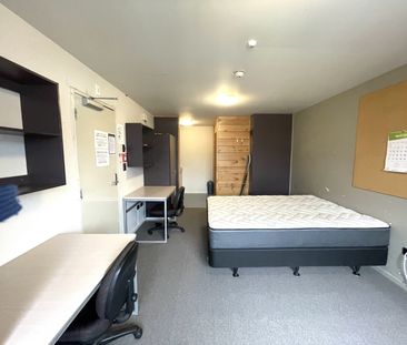 Sunny Central Studio - Photo 1