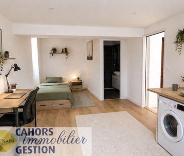 Location Appartement 1 pièce 24m² CAHORS 46000 - Photo 1