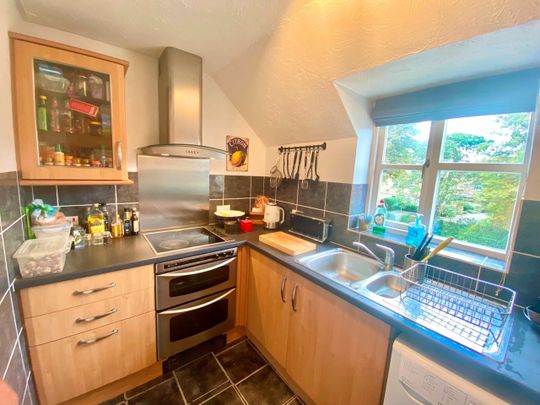 Room in a Shared Flat, Rembrandt Way, RG1 - Photo 1